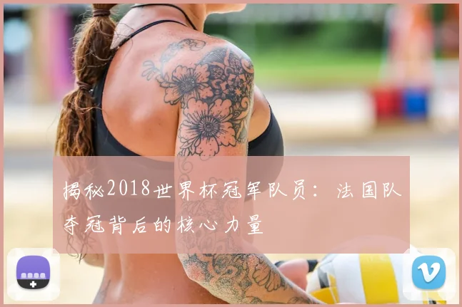 揭秘2018世界杯冠军队员：法国队夺冠背后的核心力量