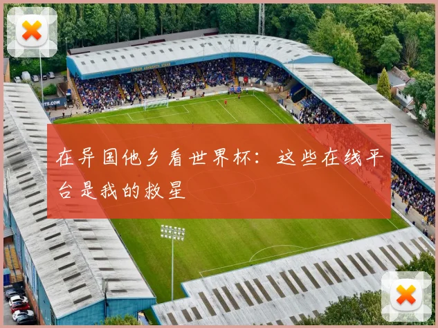 在异国他乡看世界杯：这些在线平台是我的救星