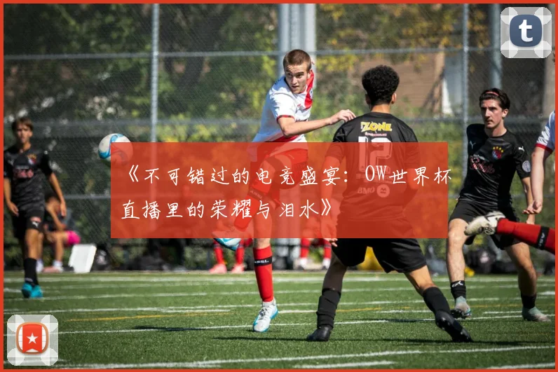 《不可错过的电竞盛宴：OW世界杯直播里的荣耀与泪水》