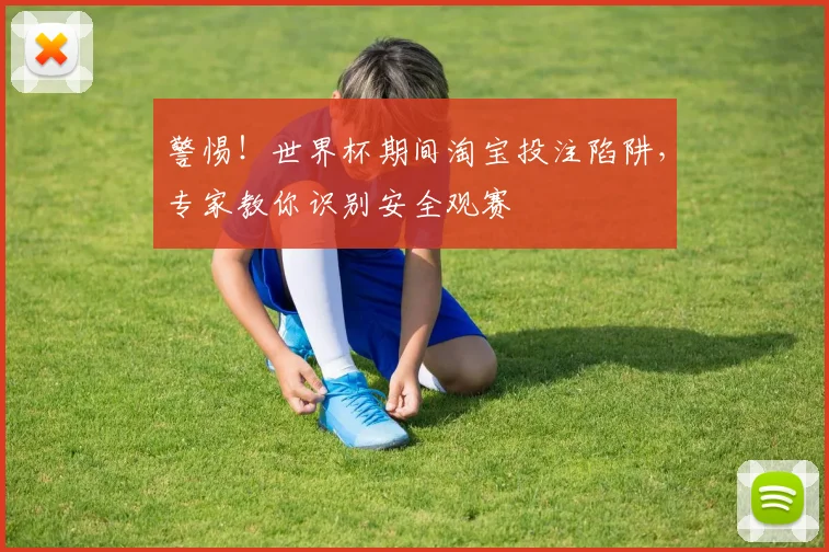 警惕！世界杯期间淘宝投注陷阱，专家教你识别安全观赛